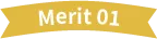 Merit01